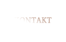 Kontakt